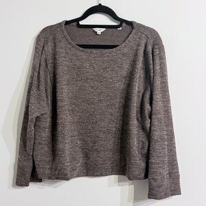 Max Studio Brown Sweater